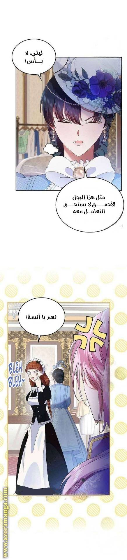 الصفحة 13