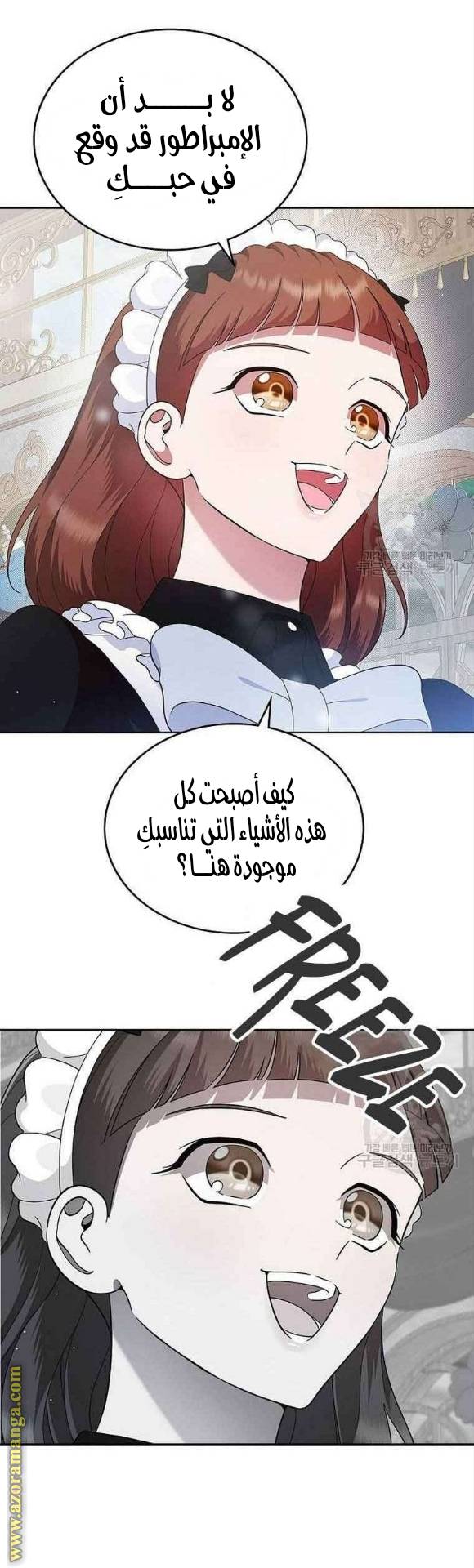 الصفحة 27