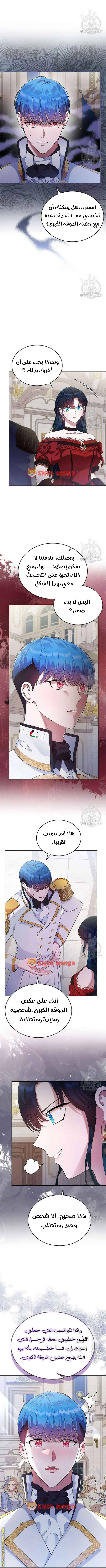الصفحة 3