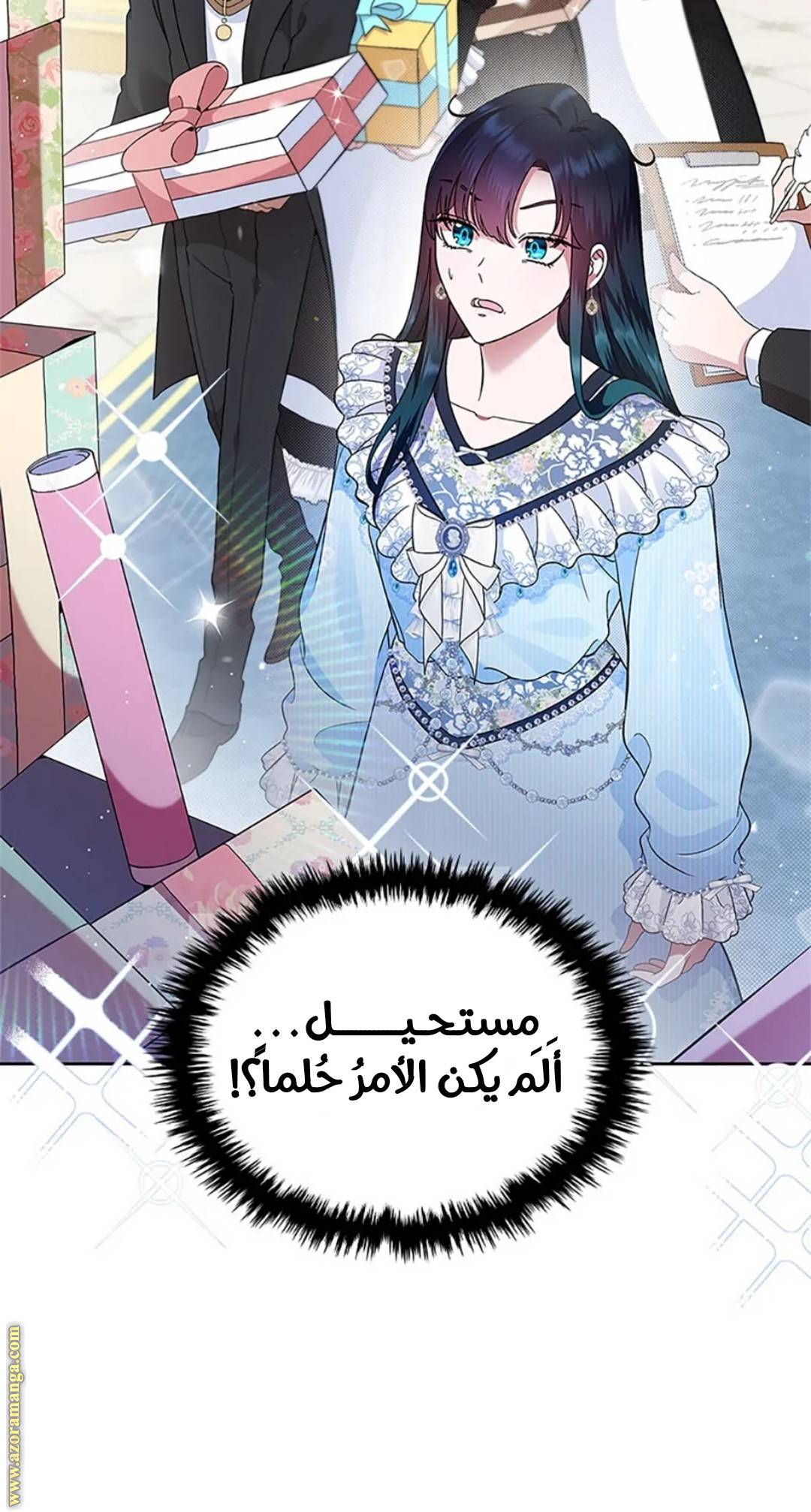 الصفحة 27