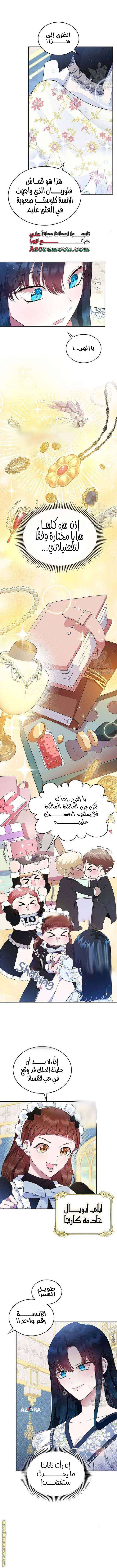 الصفحة 41
