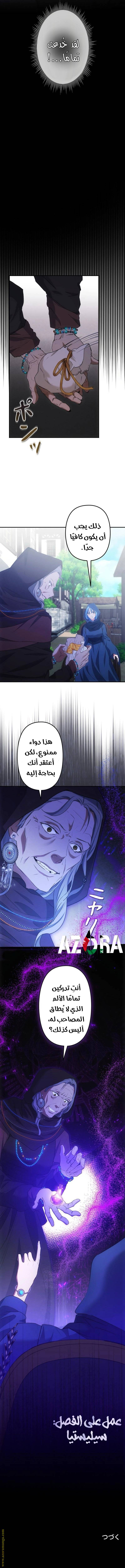 الصفحة 13