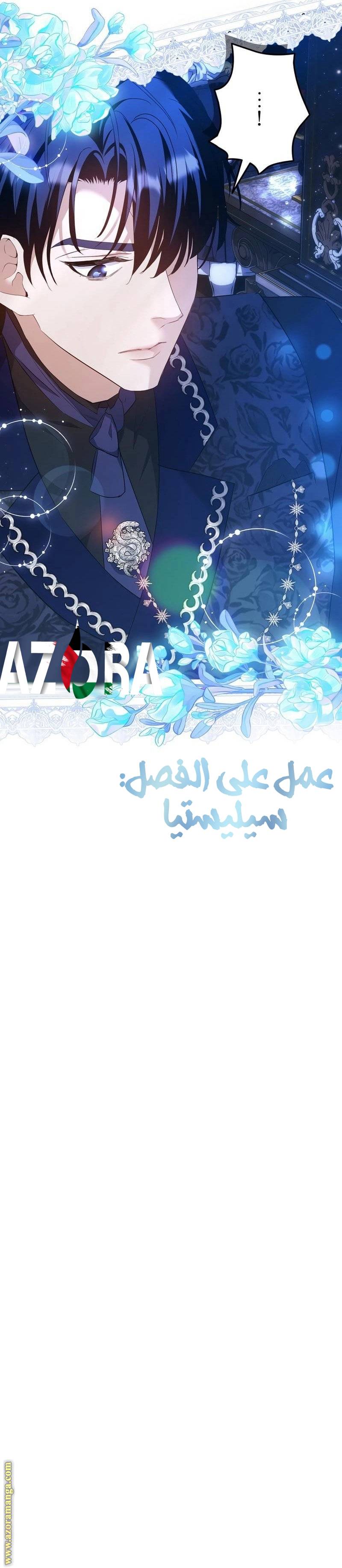 الصفحة 17