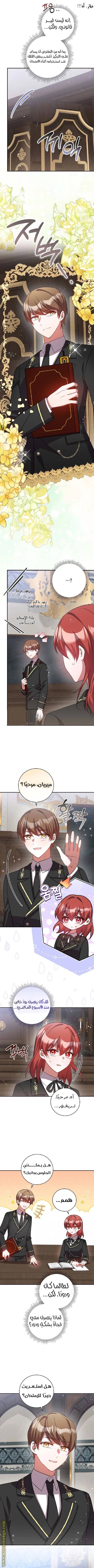 الصفحة 3
