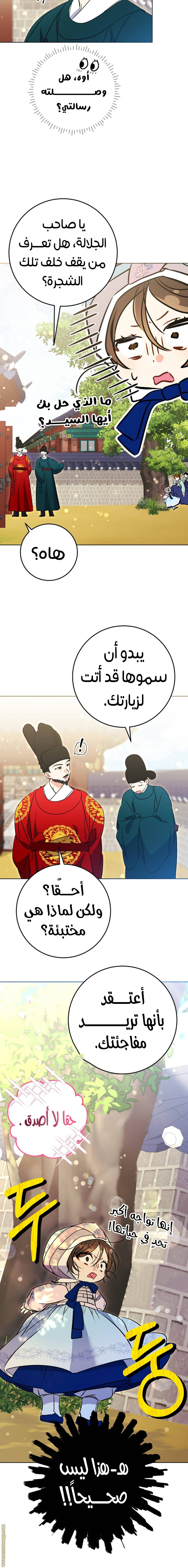 الصفحة 11
