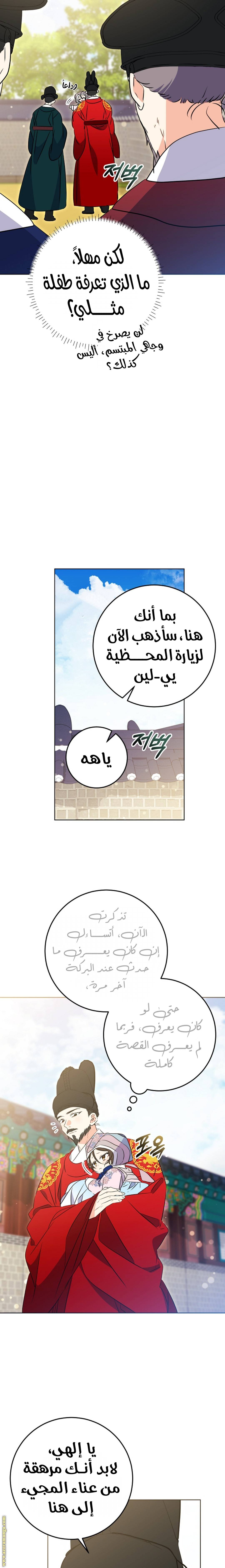 الصفحة 17