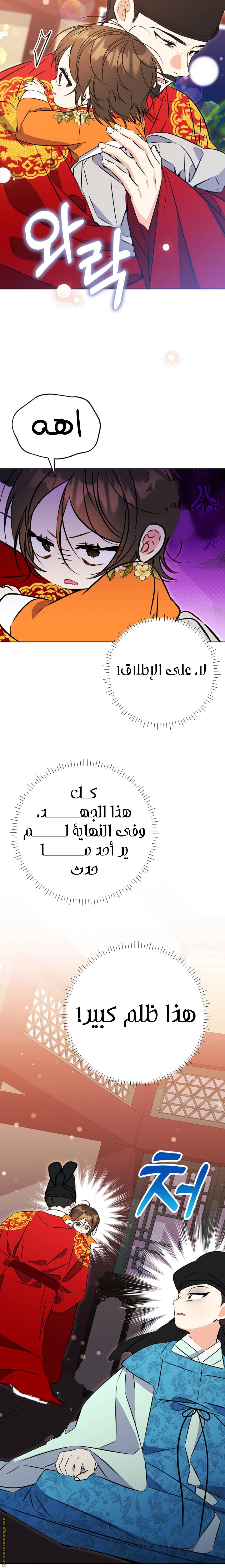 الصفحة 13