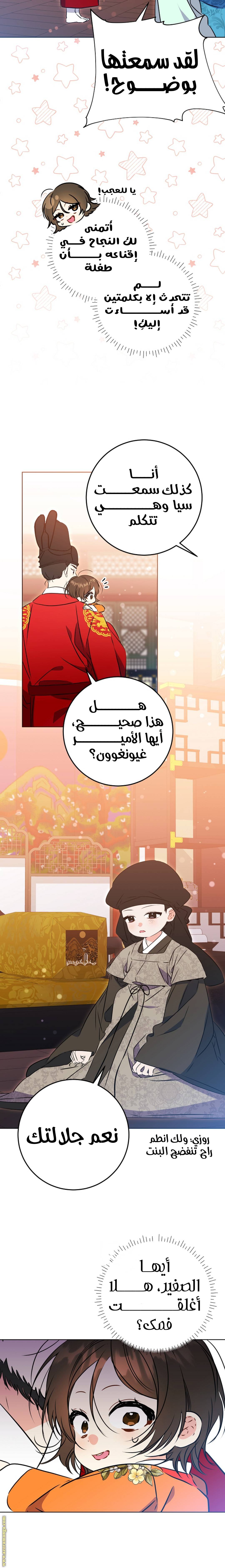 الصفحة 17