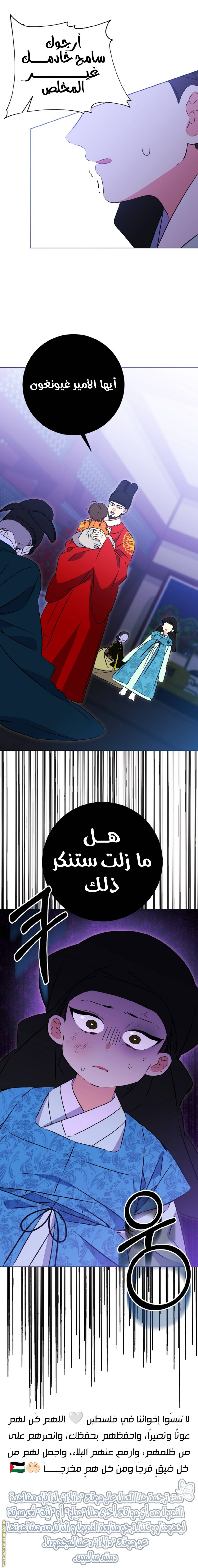 الصفحة 23