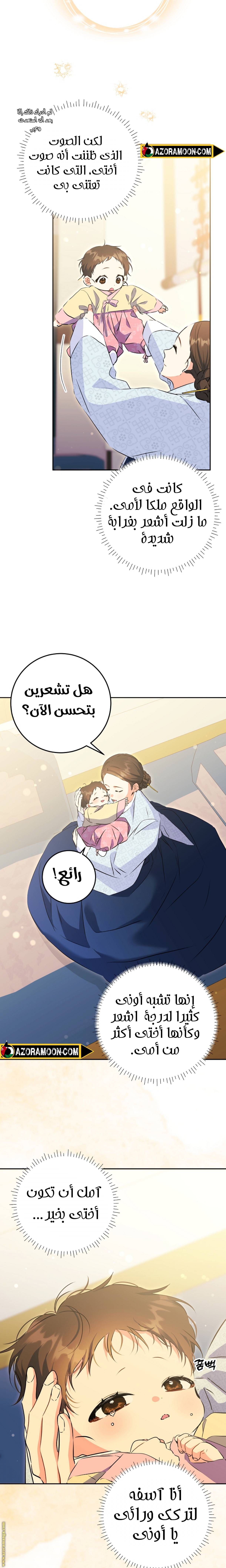 الصفحة 17