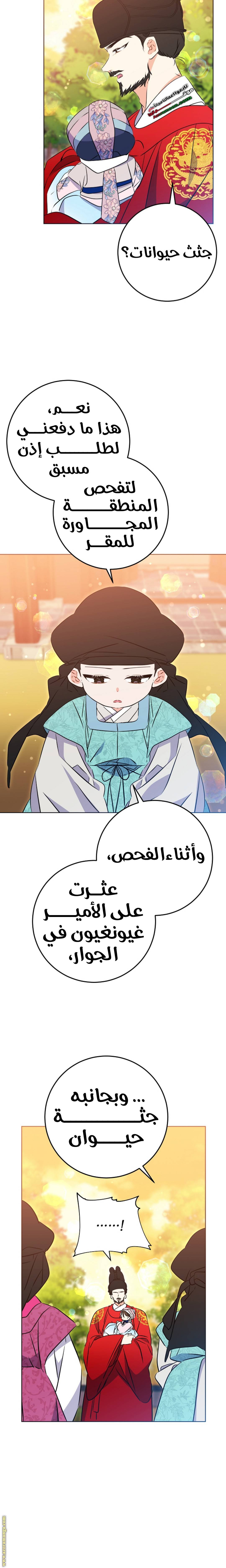 الصفحة 3
