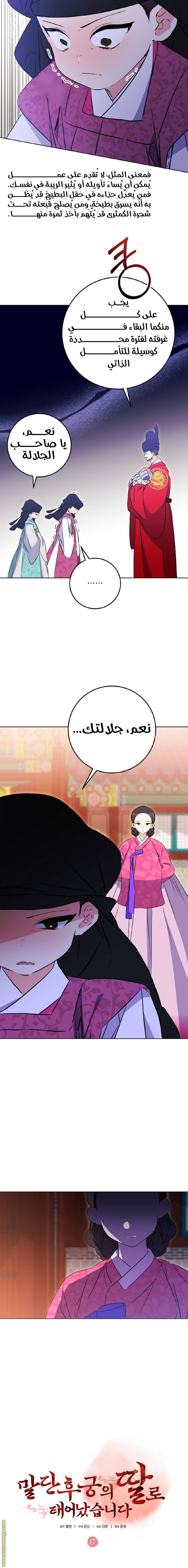 الصفحة 13
