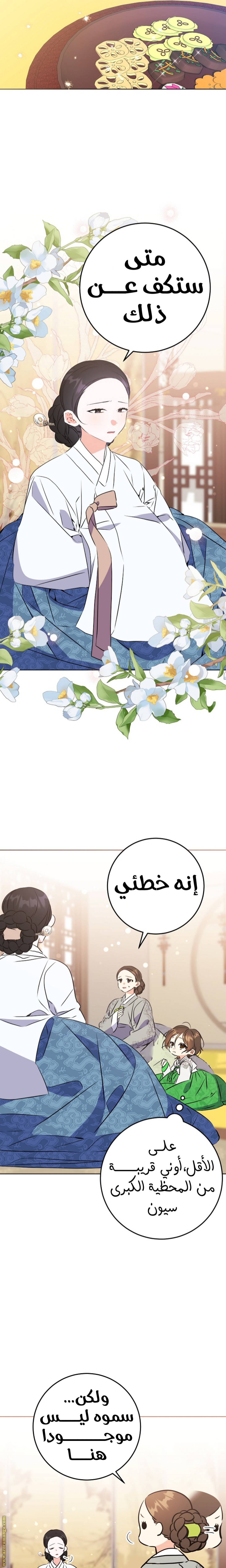 الصفحة 17