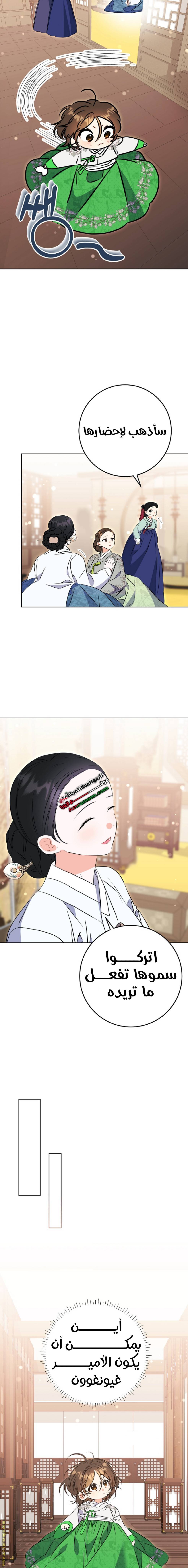الصفحة 19