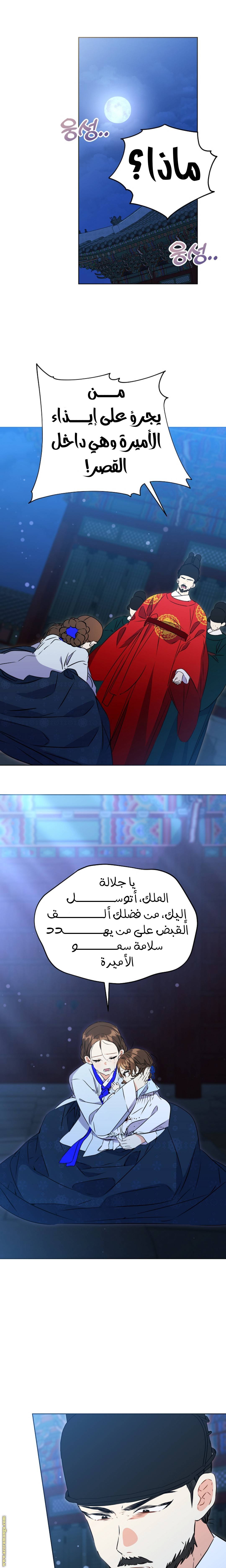 الصفحة 12