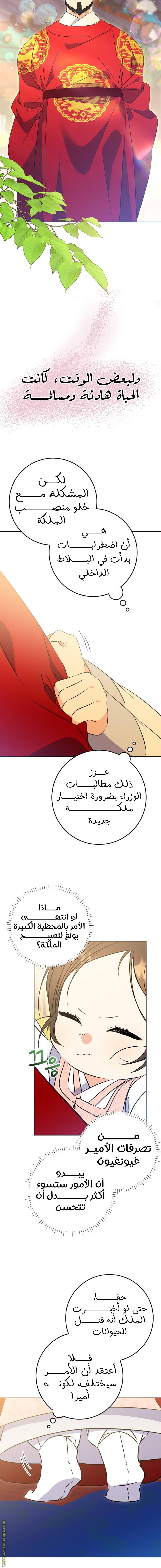 الصفحة 17