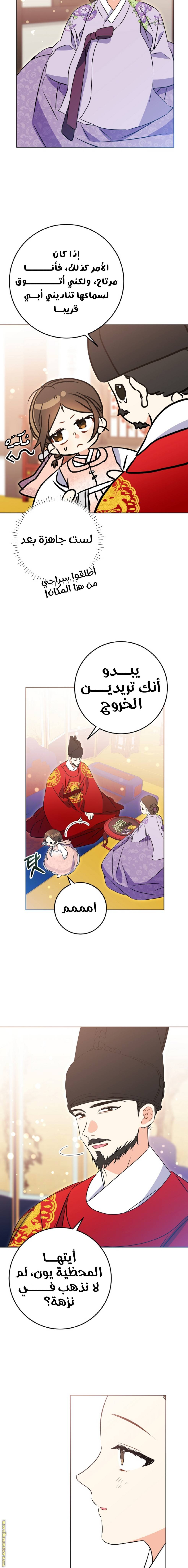 الصفحة 20