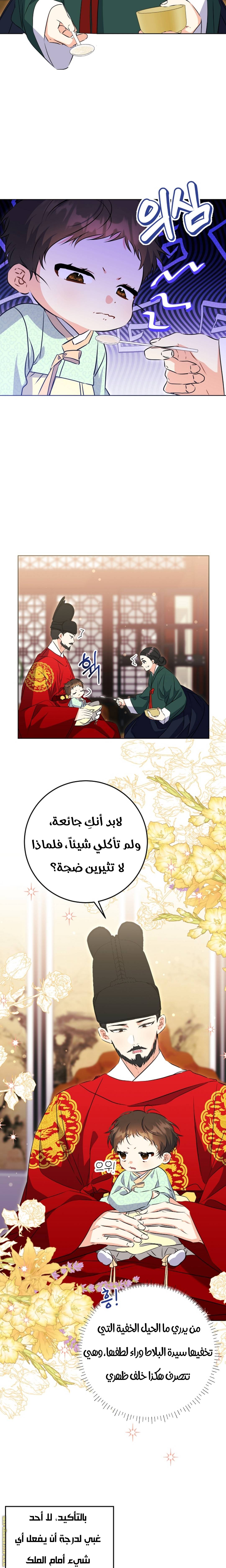 الصفحة 5