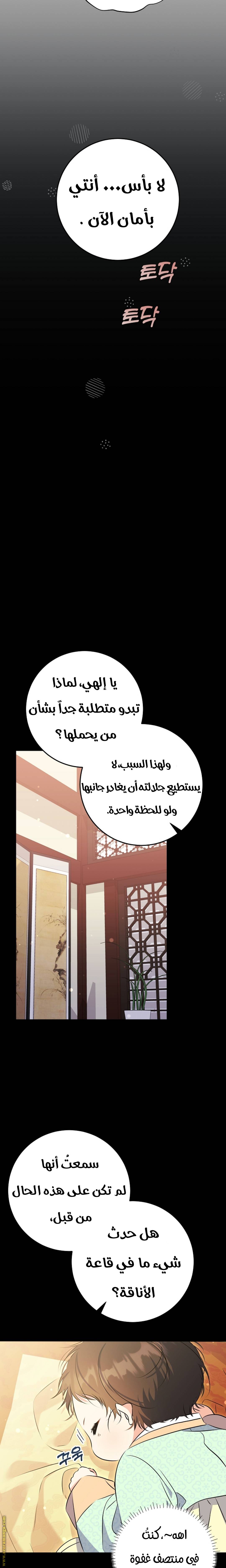 الصفحة 11