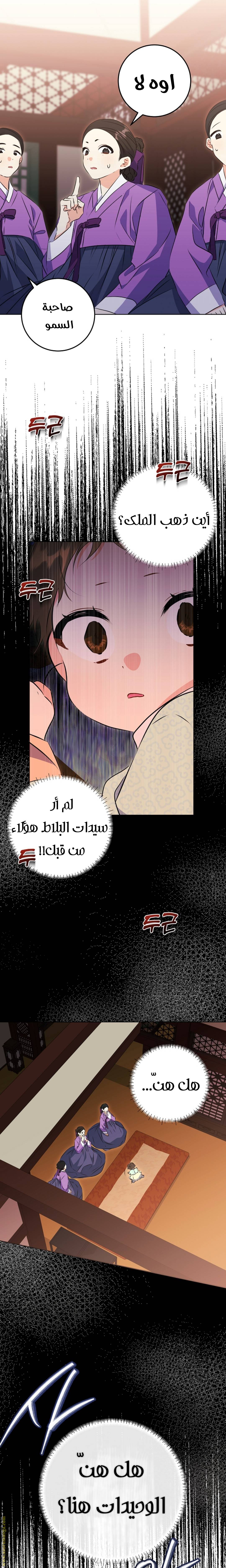 الصفحة 13