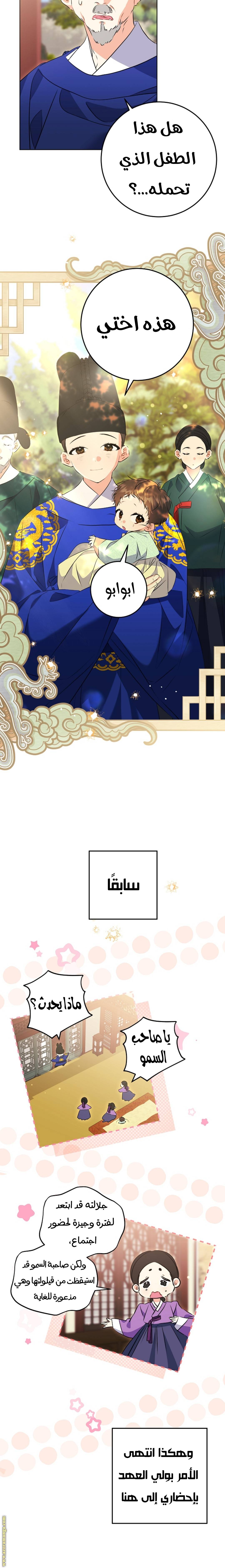 الصفحة 17