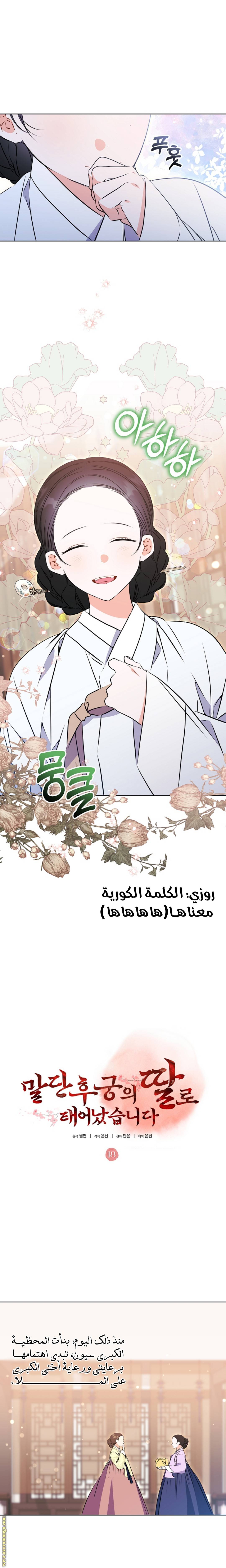 الصفحة 13