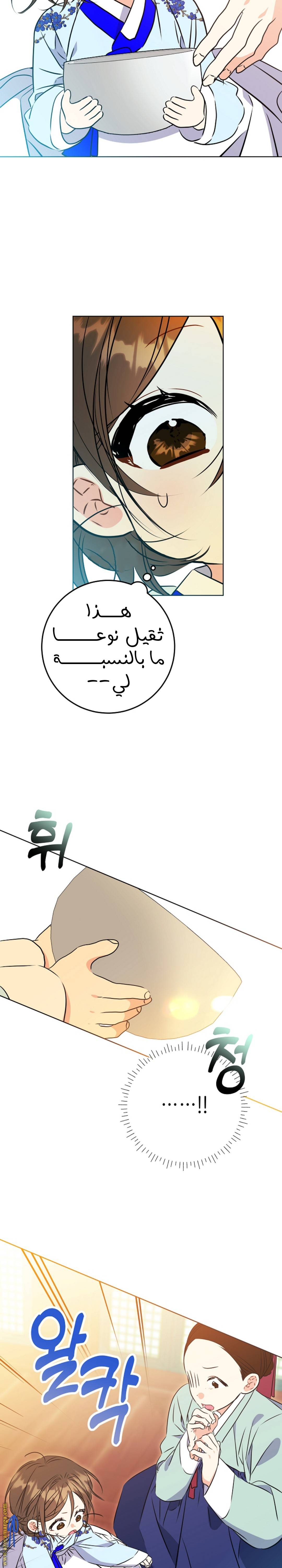 الصفحة 17