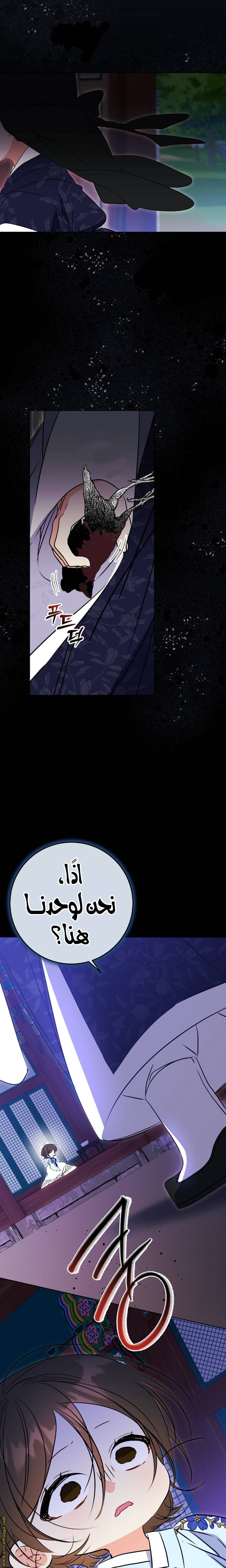 الصفحة 21