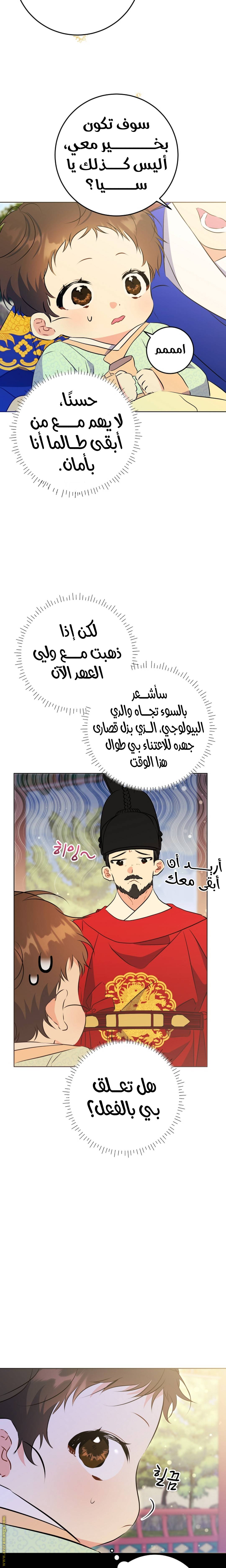 الصفحة 13