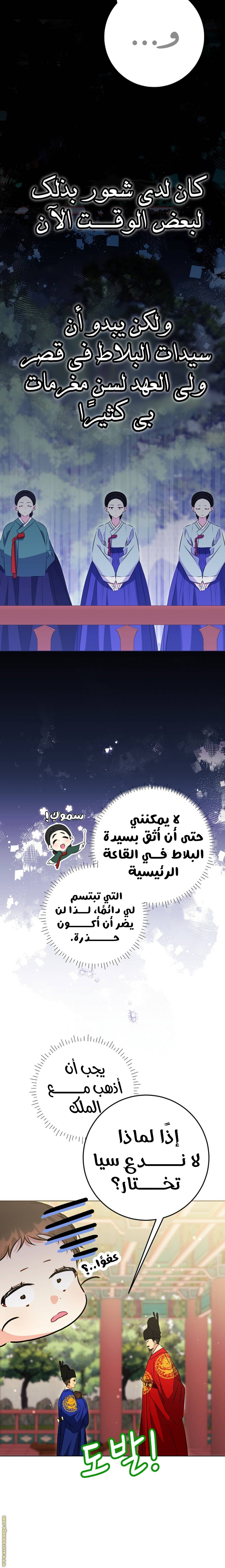 الصفحة 14