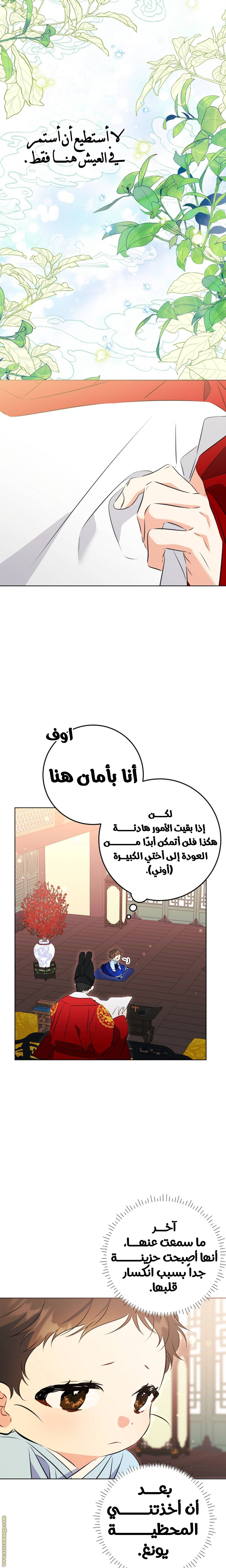 الصفحة 23