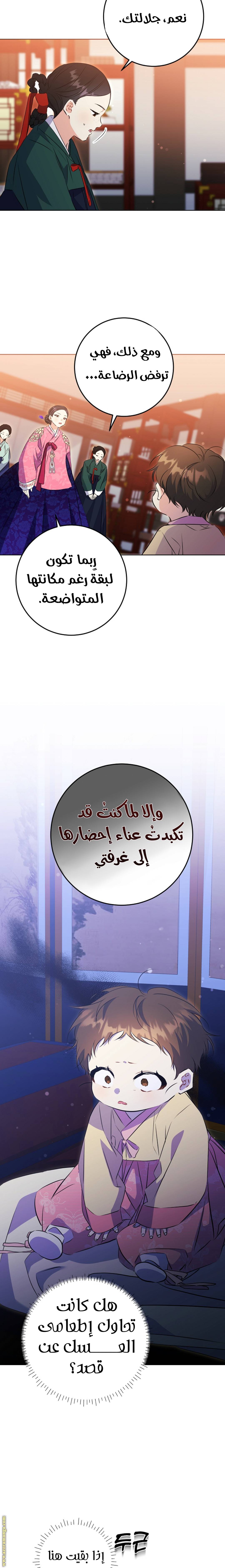 الصفحة 14