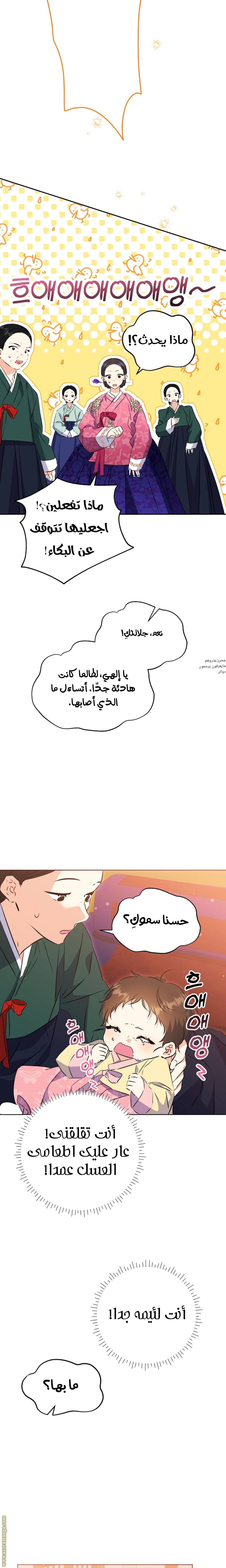 الصفحة 17