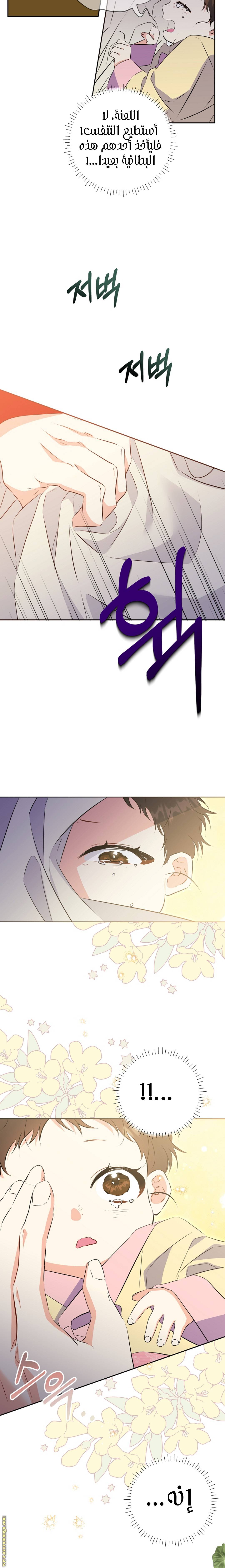 الصفحة 21