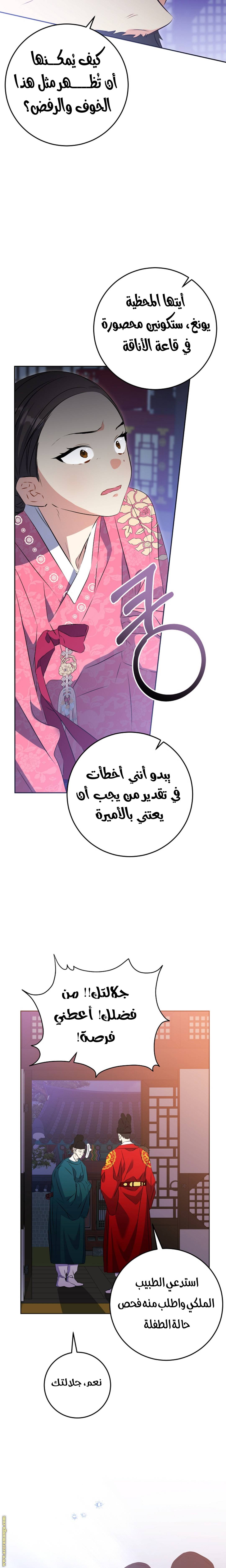 الصفحة 25