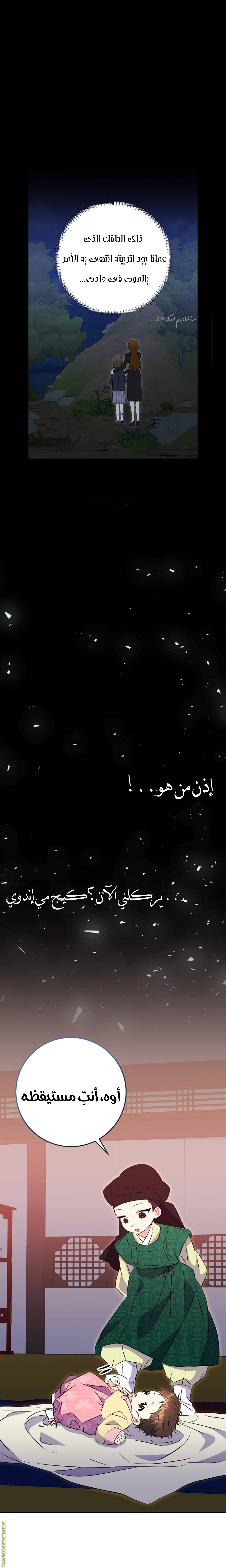 الصفحة 17