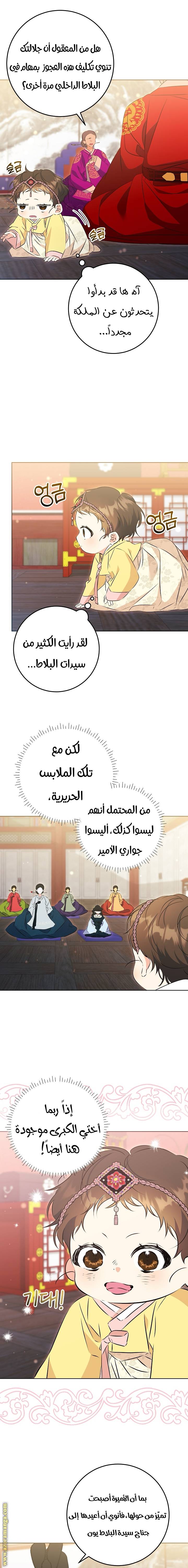 الصفحة 13