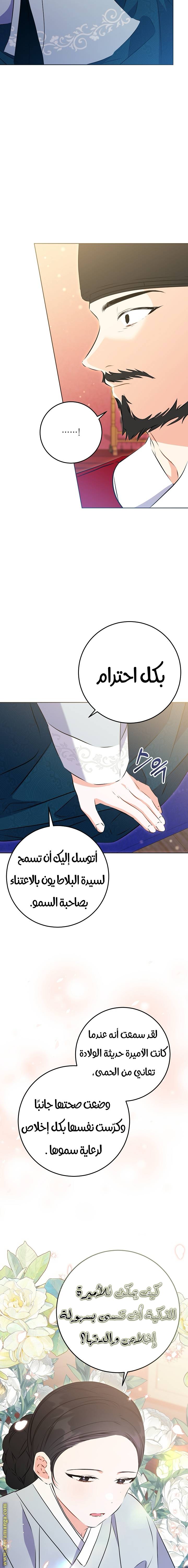 الصفحة 17