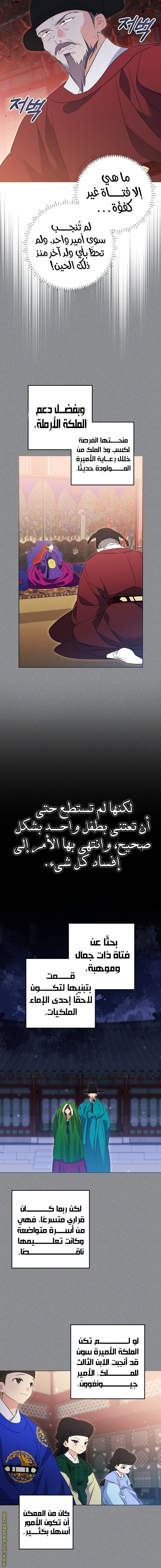 الصفحة 14