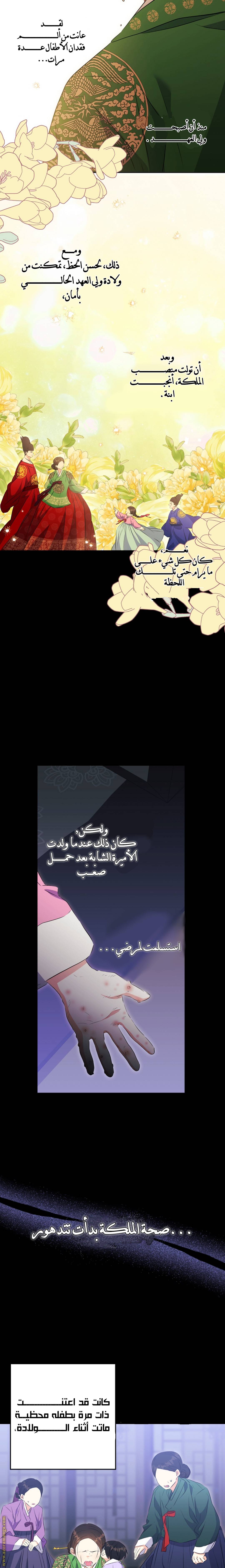 الصفحة 3