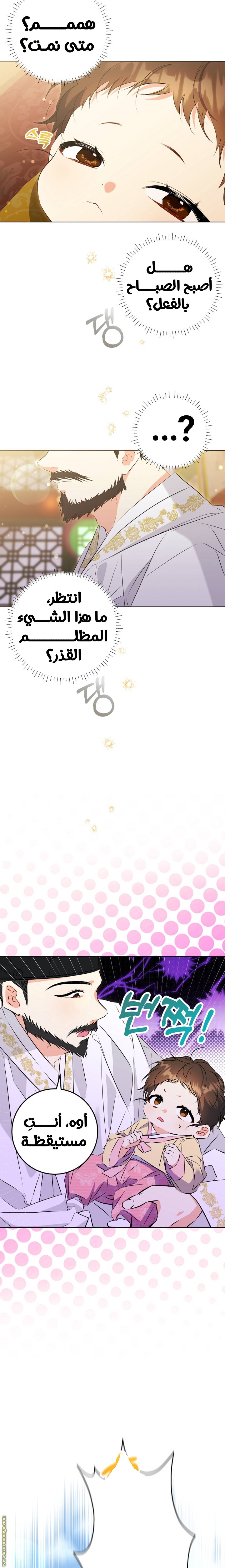 الصفحة 12