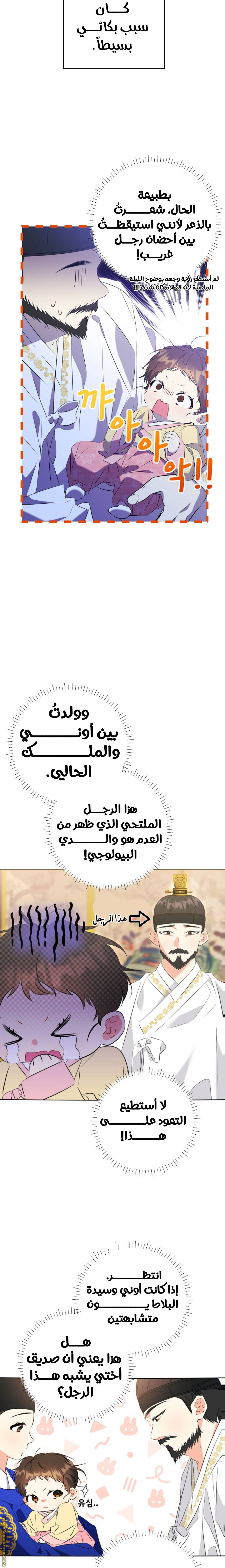 الصفحة 17