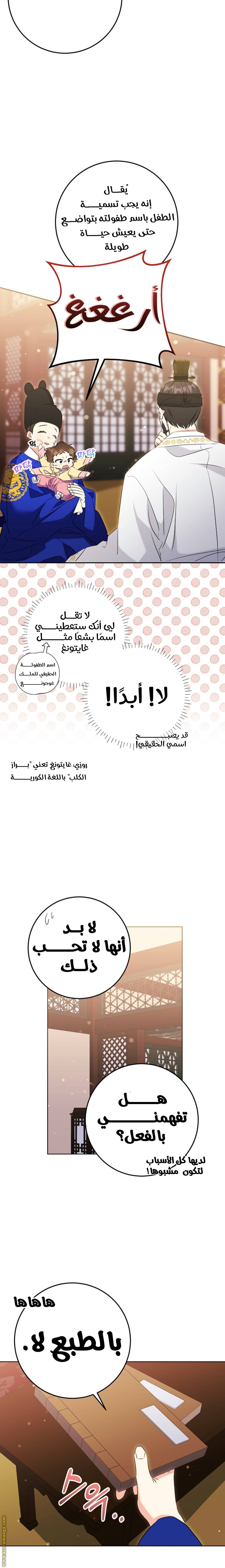 الصفحة 20