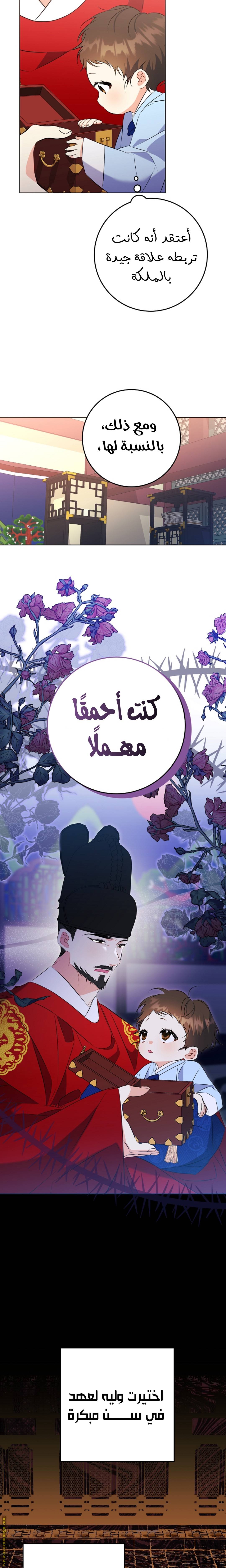 الصفحة 16