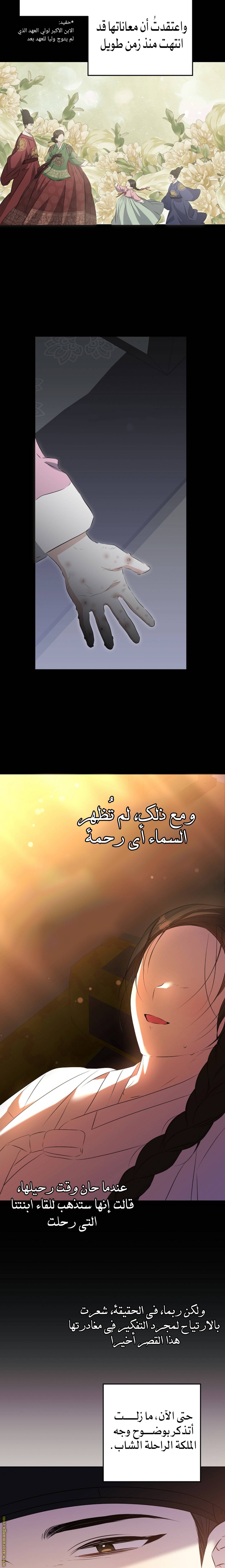 الصفحة 19