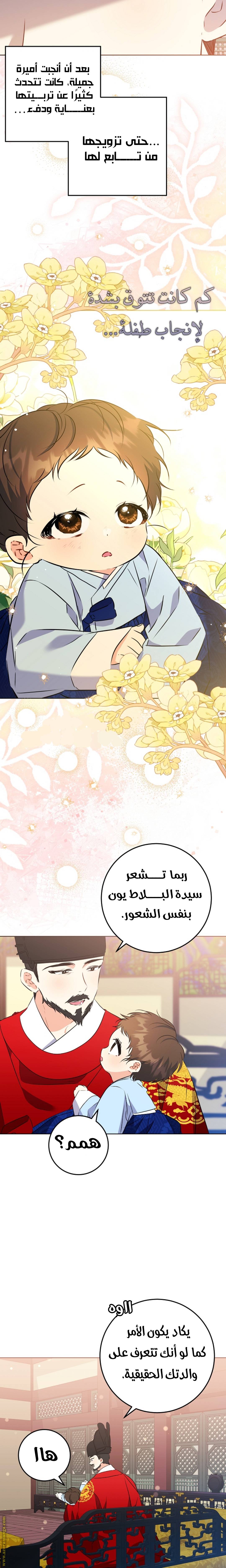 الصفحة 20