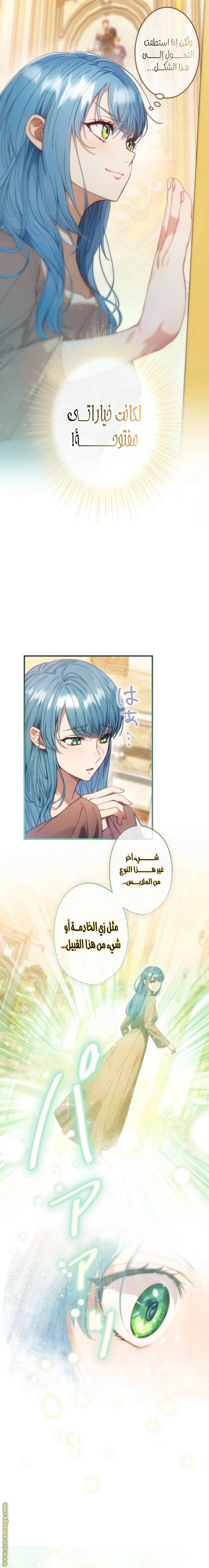 الصفحة 14