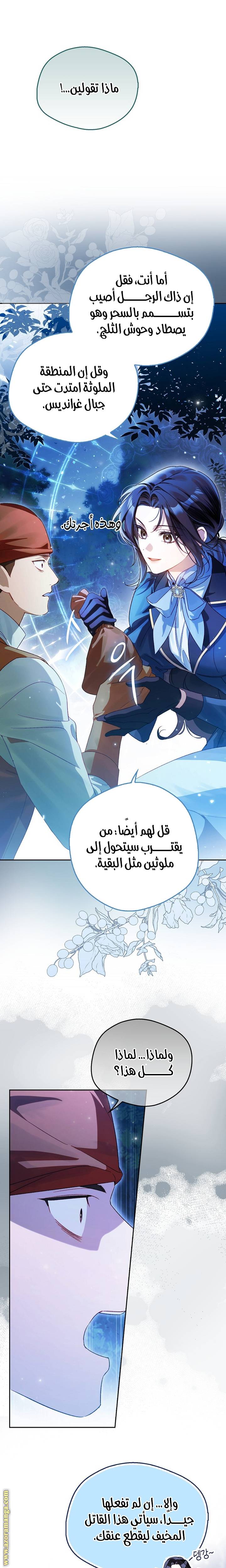 الصفحة 17