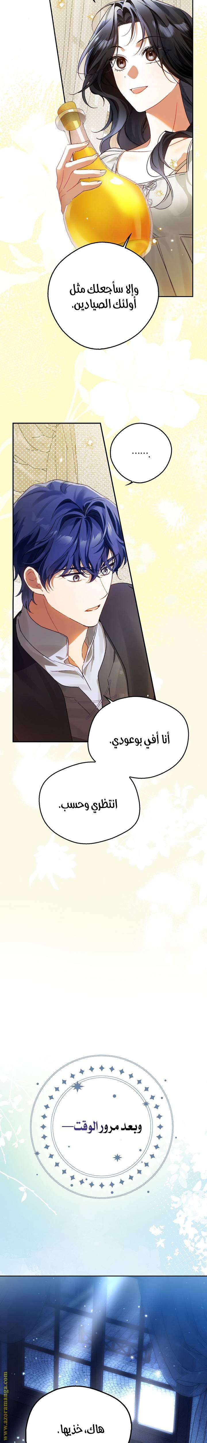 الصفحة 26