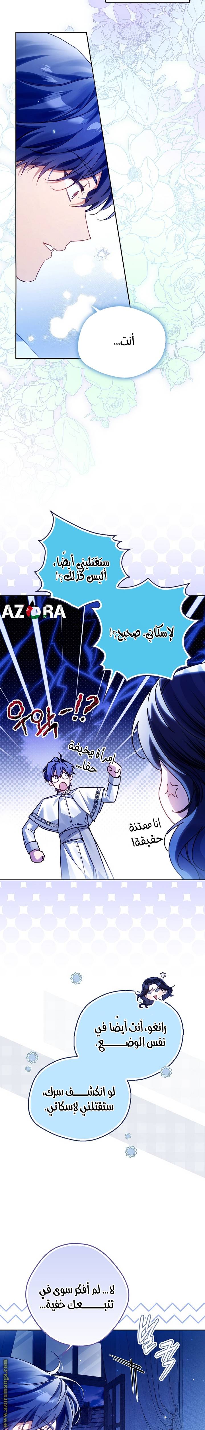 الصفحة 29